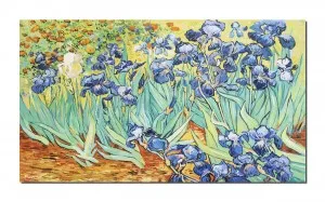 Tablou pictat manual, Irisi la Saint-Remy - 120x70cm ulei pe panza, reproducere Vincent van Gogh