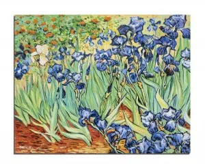 Tablou celebru pictat manual - Irisi la Saint-Remy - 50x40cm ulei pe panza, reproducere Vincent van Gogh